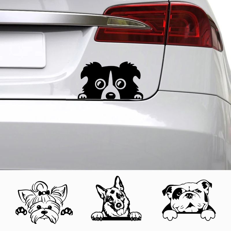 Interior Design Magazine - Carros acessórios decalques engraçado cão com